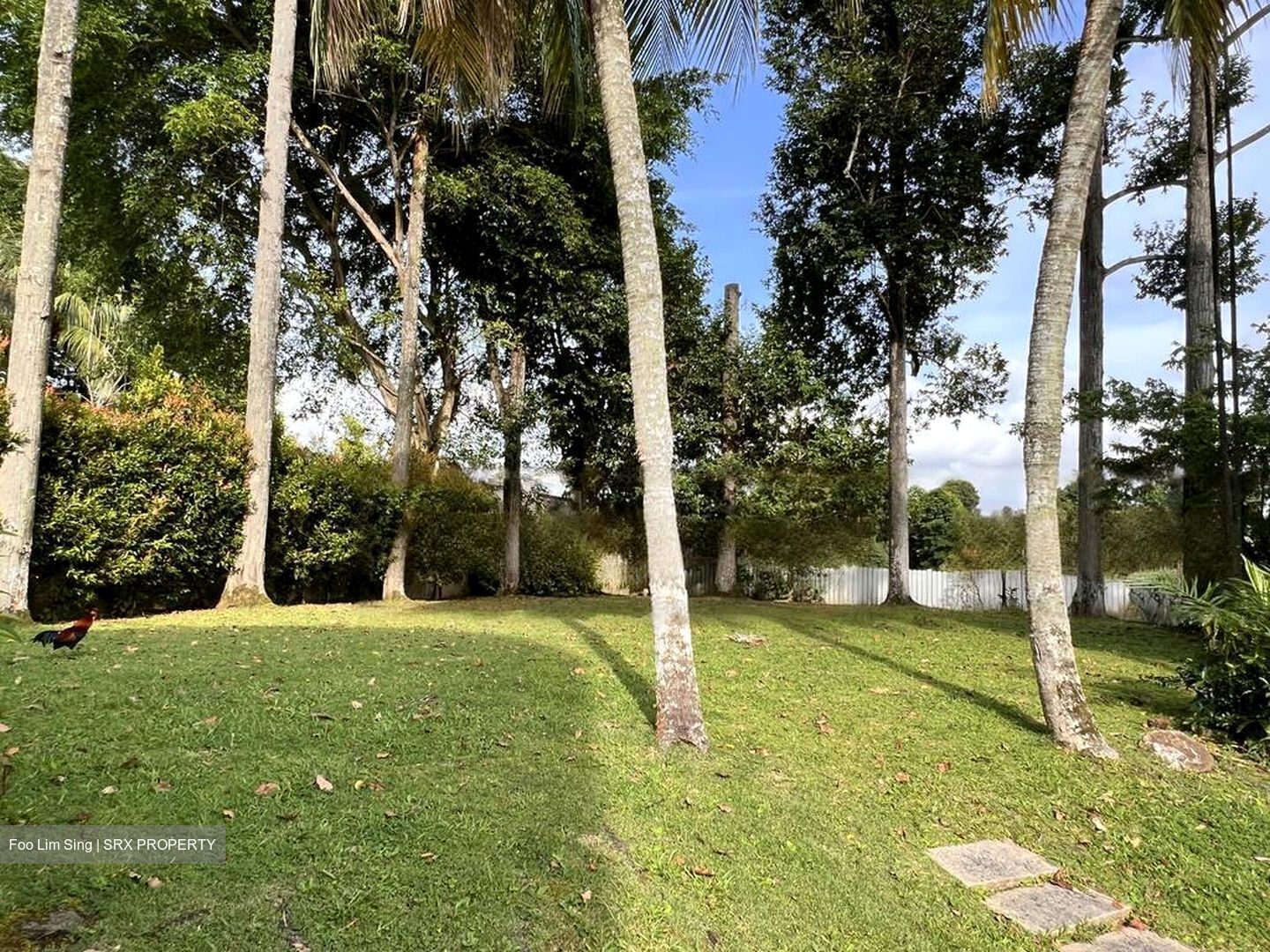 Turf Club Road (D11), Detached #482354471